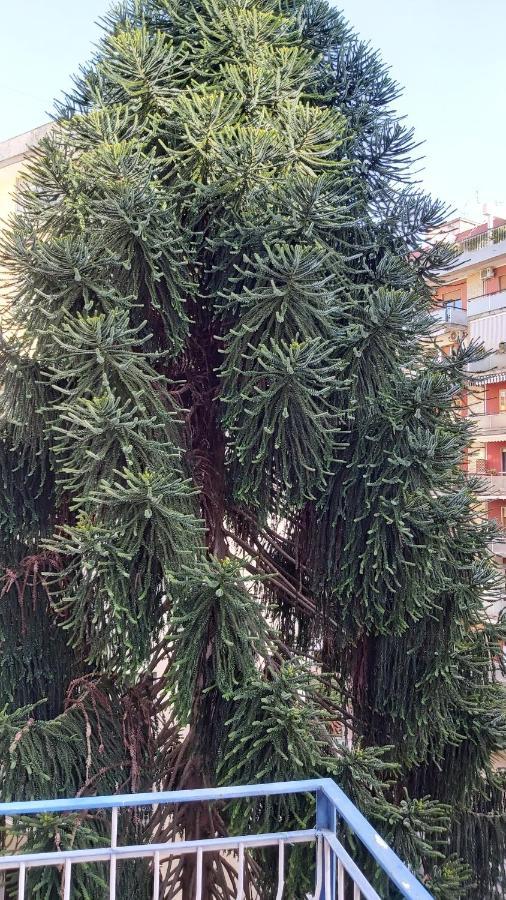 Апартаменти La Casa Del Cedro Неаполь Екстер'єр фото